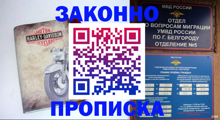 прописка для школы в Челябинской области